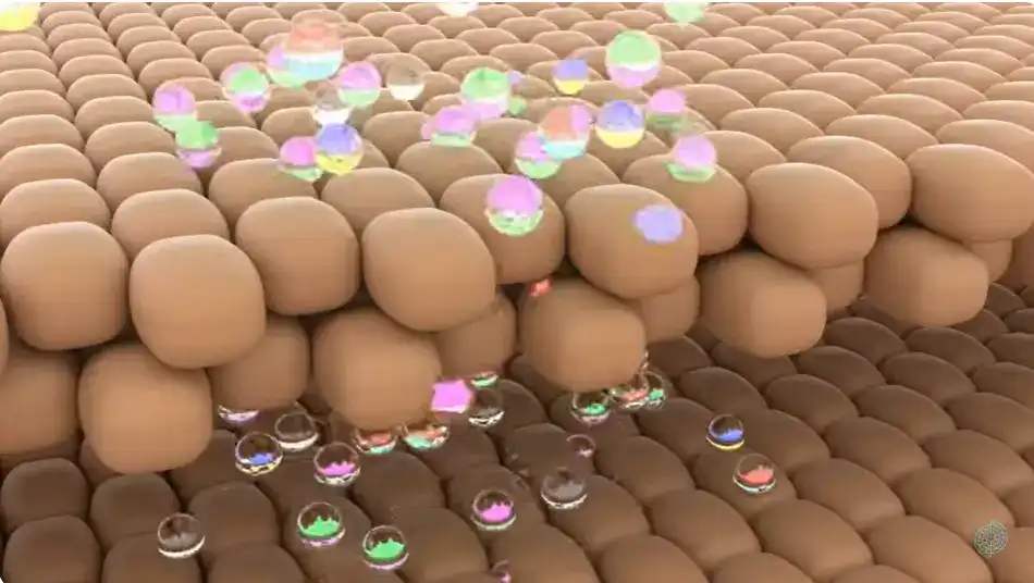 L-Cysteine Hydrochloride